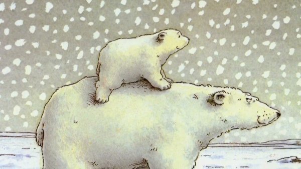 Белый медведь