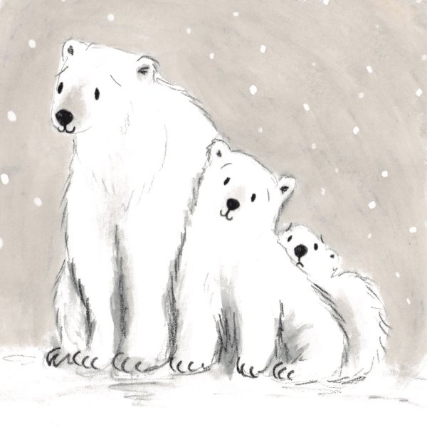 Белый медведь раскраска для детей