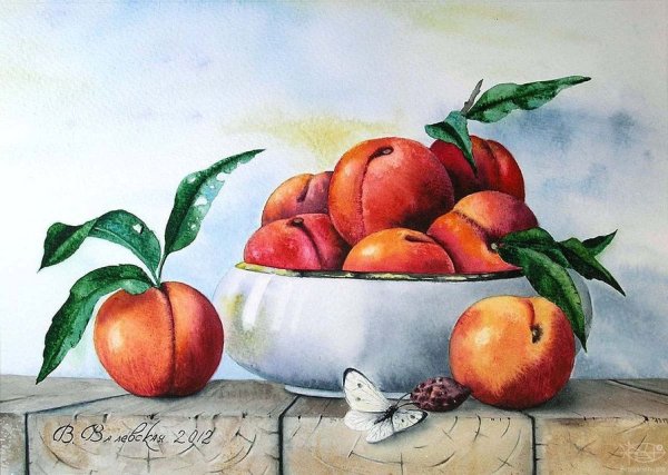 Ваза с фруктами акварелью