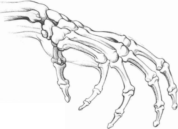 Костяная рука