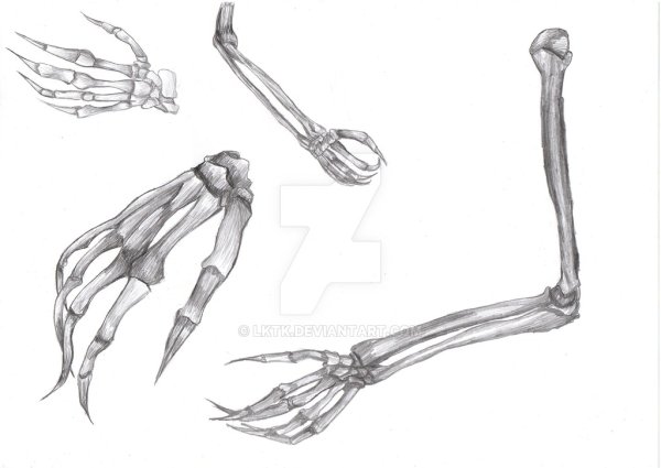 Костлявые руки референс