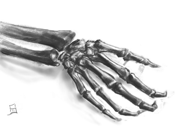 Руки скелета в разных позах