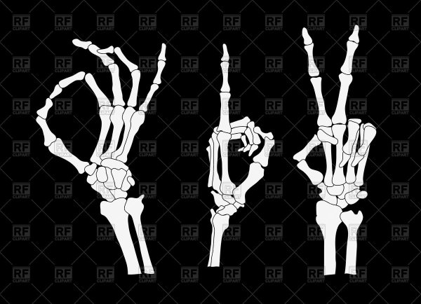 Скелет руки Баммес