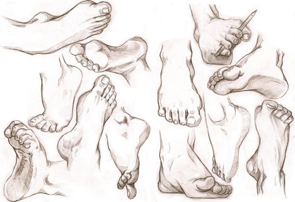 Стопа в разных ракурсах