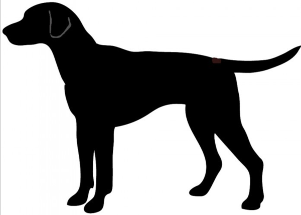 Профиль собаки силуэт