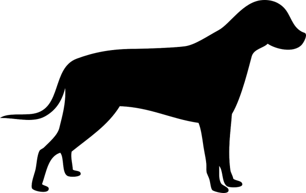 Очертание собаки