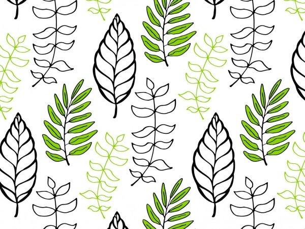 Листья вектор