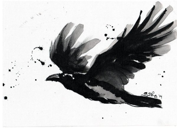 Ворон в полете арт