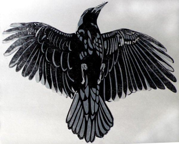 Ворон с расправленными крыльями