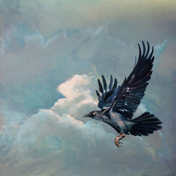 Ворона взлетает