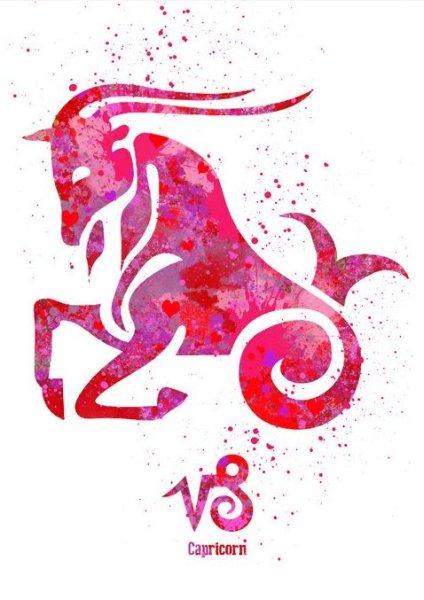 Козерог на белом фоне