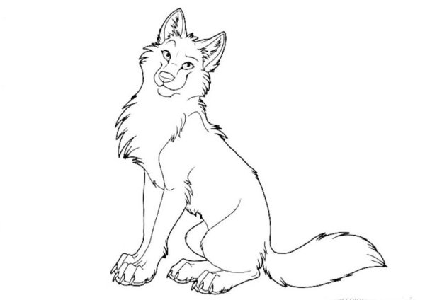 Эскизы животных для рисования