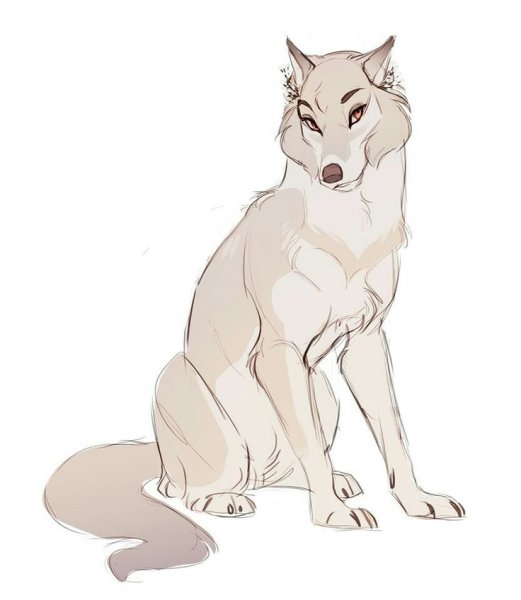 Сидящий волк для рисования