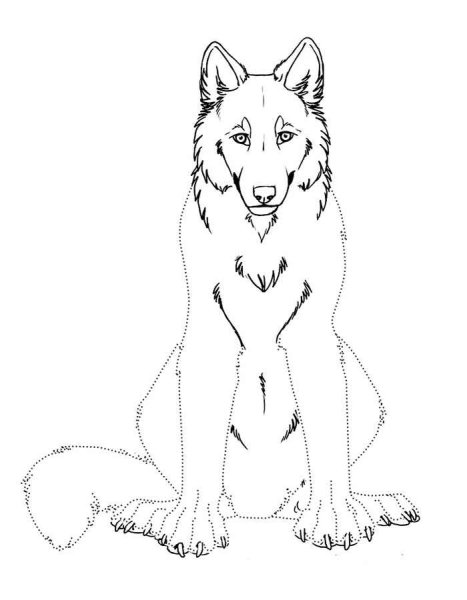 Волк сидит референс