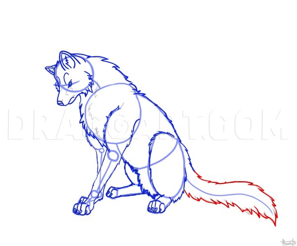 Волк референс вид сбоку