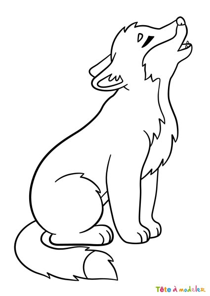 Референс сидящего волка сзади