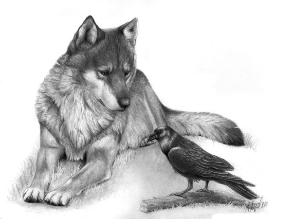 Собака воет на луну