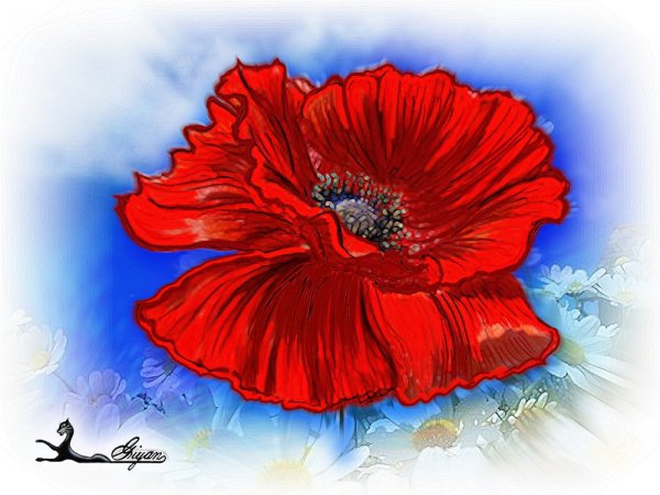 Мак рисунок