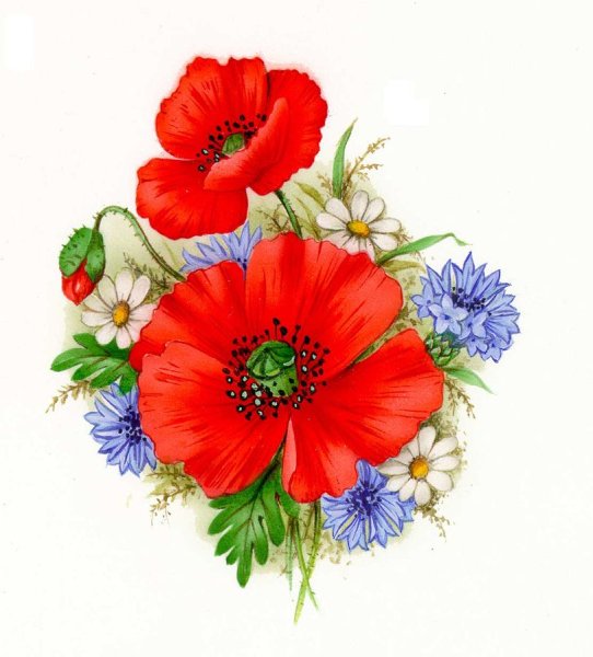 Рисовать цветы