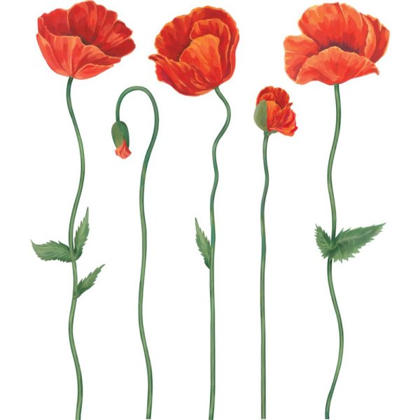 Декоретто d2025 маки