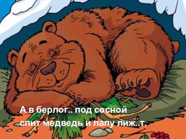 Мишка в берлоге