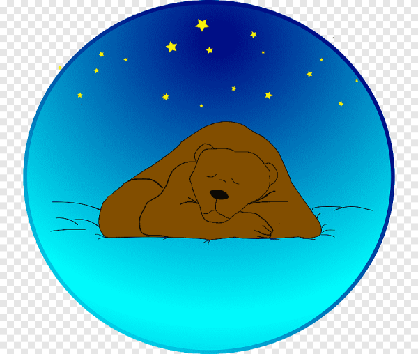 Медведь спит мультяшный