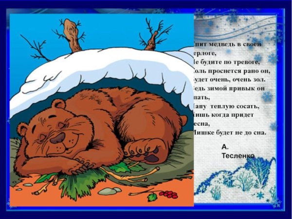 Берлога медведя