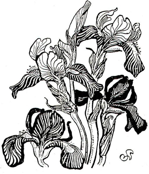 Стилизация растений