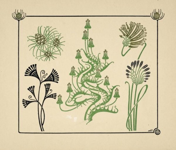 Орнамент Модерн растительный чертополох