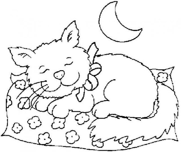 Кошка спит раскраска