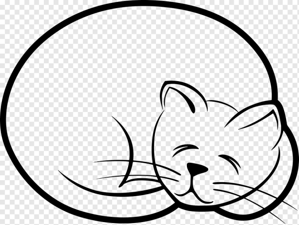 Спящий кот рисунок