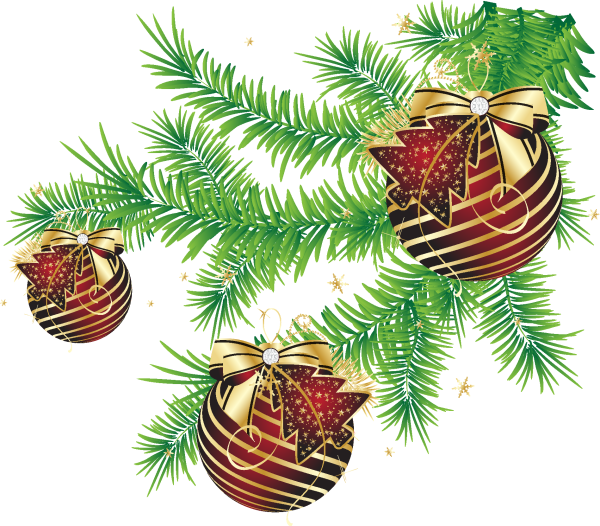 Новогодние еловые ветки