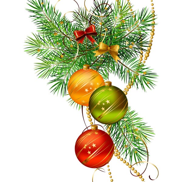 Елочная ветка