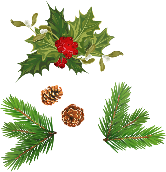 Векторная ветка елки