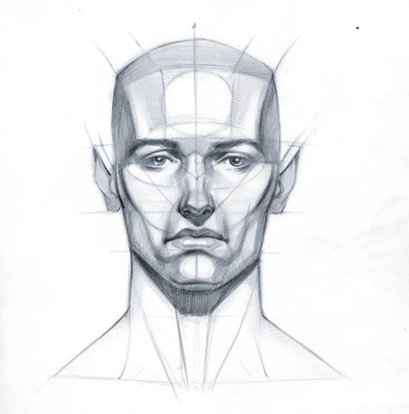 Конструктивный портрет