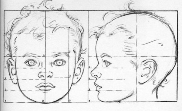 Портрет (конструкция головы человека. Анфас, профиль)