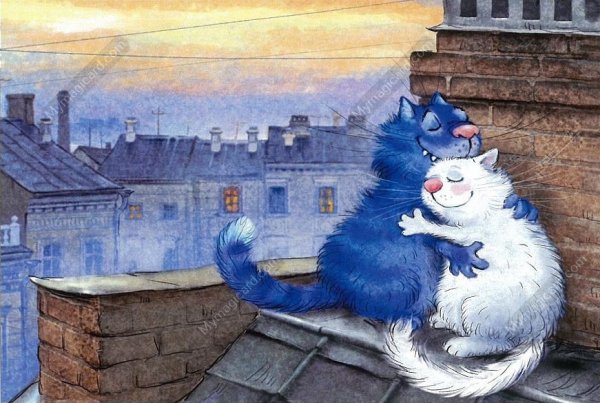 Коты Рины Зенюк 2020 год