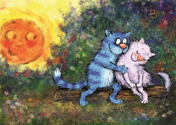 Коты Ирины Зенюк 2018