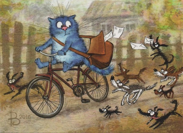 Коты Ирины Зенюк 2020