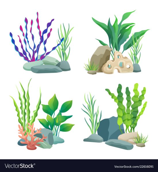 Рисуем водоросли в аквариуме