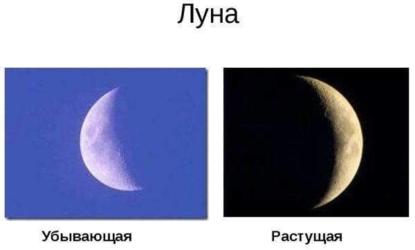 Фазы Луны для детей