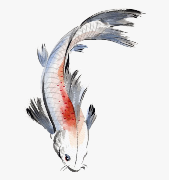 Китайская живопись карпы кои