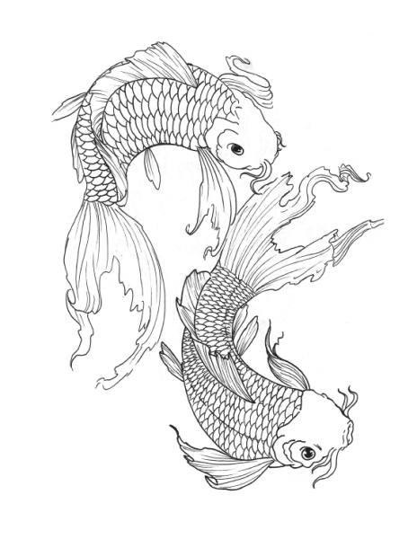 Японские карпы Графика