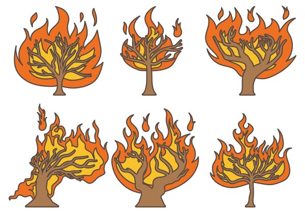 Горящее дерево