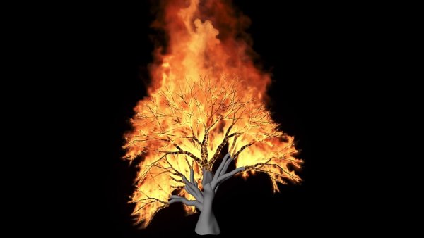 Горящий лес рисунок для детей