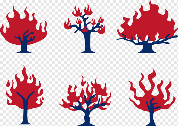 Очертания пожара леса