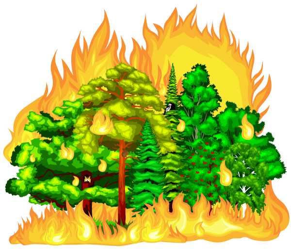 Горящий куст нарисовать