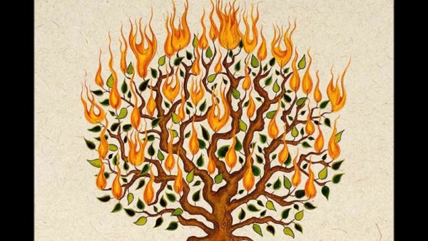 Мертвое дерево рисунок