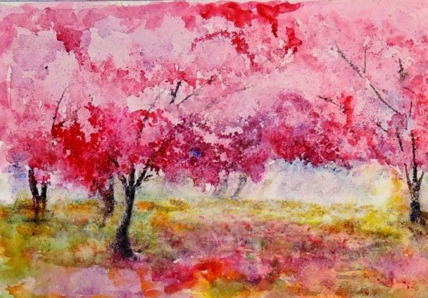 Рисунки красками