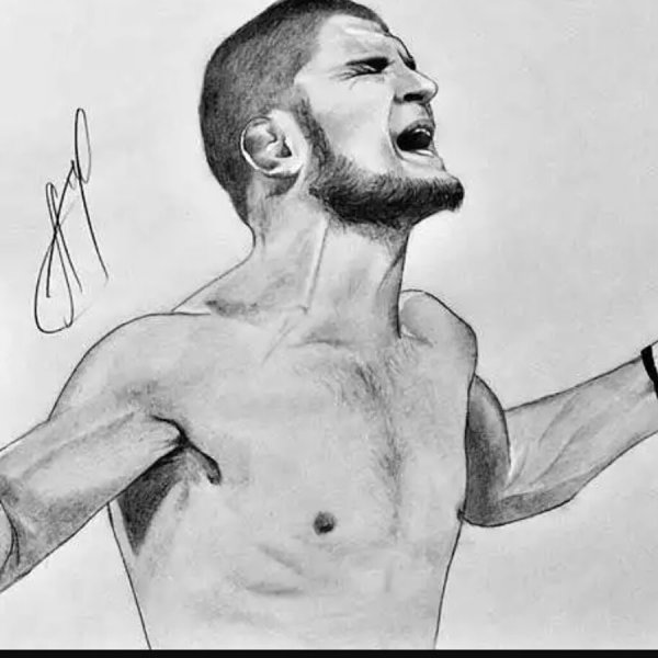 Портрет Хабиба Нурмагомедова карандашом